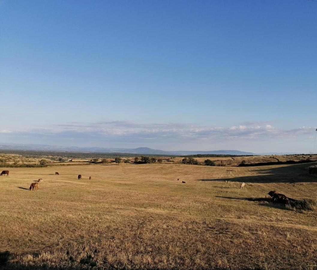 Bed and Breakfast Deiana Santu Lussurgiu Exterior foto